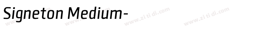 Signeton Medium字体转换